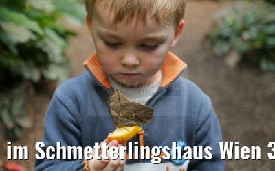 im Schmetterlingshaus Wien 30.03.2015