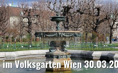 im Volksgarten Wien 30.03.2015