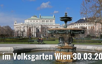 im Volksgarten Wien 30.03.2015