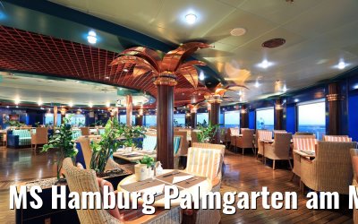 MS Hamburg Palmgarten am Morgen 02.12.2017