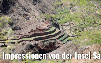 Impressionen von der Insel Santiago, Kapverden 03.03.2020