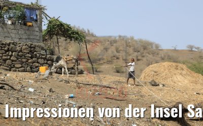 Impressionen von der Insel Santiago, Kapverden 03.03.2020