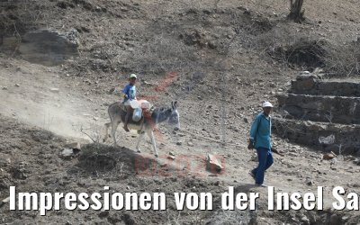 Impressionen von der Insel Santiago, Kapverden 03.03.2020