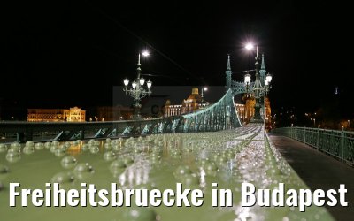 Freiheitsbruecke in Budapest bei Nacht 31.03.2015