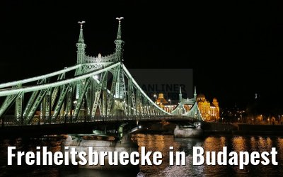 Freiheitsbruecke in Budapest bei Nacht 31.03.2015