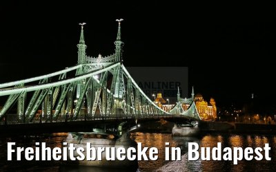 Freiheitsbruecke in Budapest bei Nacht 31.03.2015