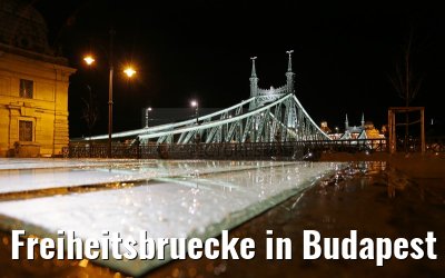 Freiheitsbruecke in Budapest bei Nacht 31.03.2015