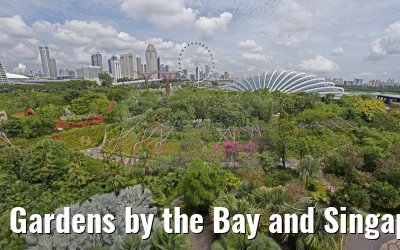 Gardens by the Bay and Singapore Flyer 30.01.2016