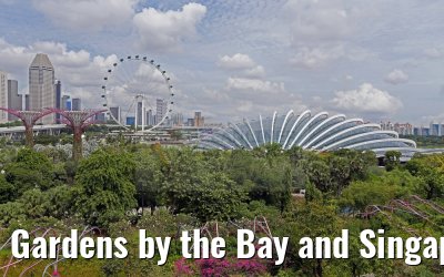 Gardens by the Bay and Singapore Flyer 30.01.2016
