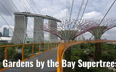 Gardens by the Bay Supertrees and Marina Bay Sands Hotel Singapore