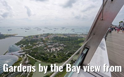 Gardens by the Bay view from Marina Bay Sands Hotel 30.01.2016