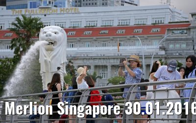 Merlion Singapore 30.01.2016