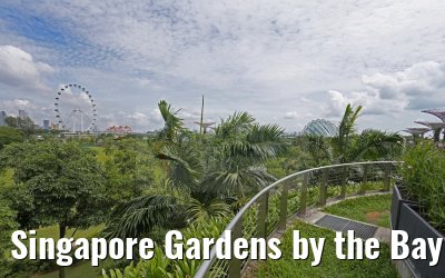 Singapore Gardens by the Bay 30.01.2016
