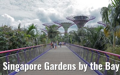 Singapore Gardens by the Bay 30.01.2016