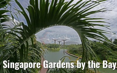 Singapore Gardens by the Bay 30.01.2016