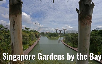 Singapore Gardens by the Bay 30.01.2016