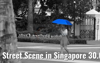 Street Scene in Singapore 30.01.2016