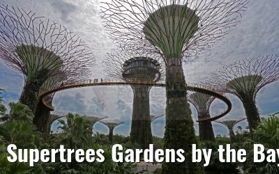 Supertrees Gardens by the Bay Singapore 30.01.2016
