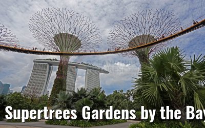 Supertrees Gardens by the Bay Singapore 30.01.2016