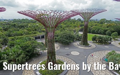 Supertrees Gardens by the Bay Singapore 30.01.2016