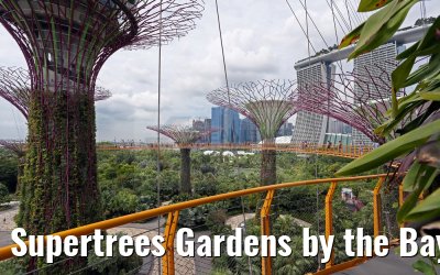Supertrees Gardens by the Bay Singapore 30.01.2016