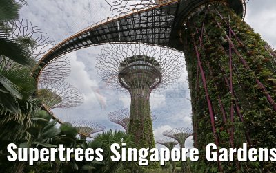 Supertrees Singapore Gardens by the Bay 30.01.2016