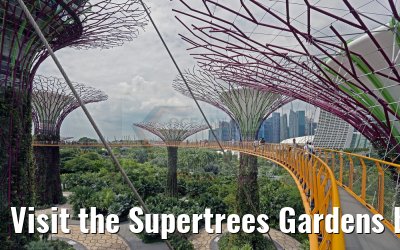 Visit the Supertrees Gardens by the Bay Singapore 30.01.2016
