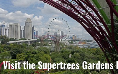 Visit the Supertrees Gardens by the Bay Singapore 30.01.2016