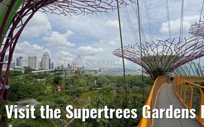 Visit the Supertrees Gardens by the Bay Singapore 30.01.2016