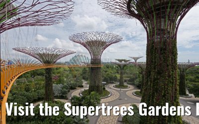 Visit the Supertrees Gardens by the Bay Singapore 30.01.2016