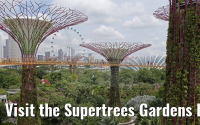 Visit the Supertrees Gardens by the Bay Singapore 30.01.2016