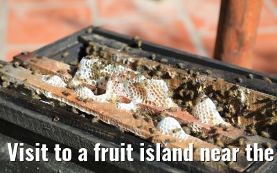 Visit to a fruit island near the town My Tho, Vietnam 08.04.2017