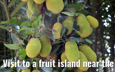 Visit to a fruit island near the town My Tho, Vietnam 08.04.2017