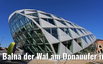 Balna der Wal am Donauufer in Budapest 01.04.2015