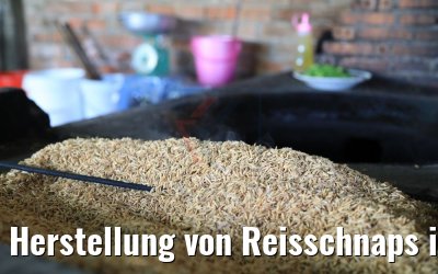 Herstellung von Reisschnaps in Cai Be Vietnam 09.04.2017