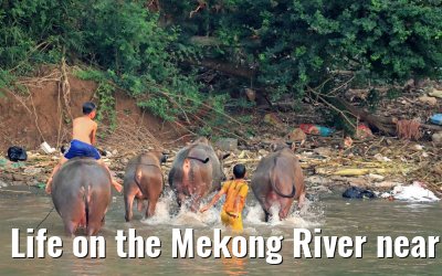 Life on the Mekong River near Chau Doc 09.04.2017