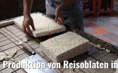 Produktion von Reisoblaten in Cai Be, Vietnam 09.04.2017