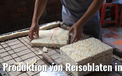 Produktion von Reisoblaten in Cai Be, Vietnam 09.04.2017