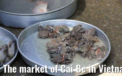 The market of Cai Be in Vietnam 09.04.2017