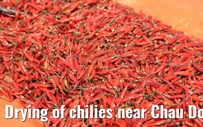 Drying of chilies near Chau Doc, Vietnam 10.04.2017