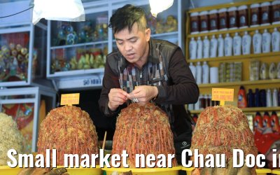 Small market near Chau Doc in Vietnam 10.04.2017