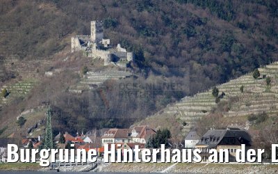 Burgruine Hinterhaus an der Donau 03.04.2015