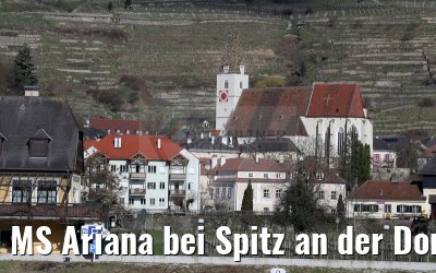 MS Ariana bei Spitz an der Donau 03.04.2015