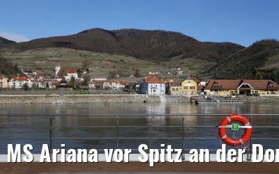 MS Ariana vor Spitz an der Donau 03.04.2015