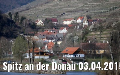 Spitz an der Donau 03.04.2015