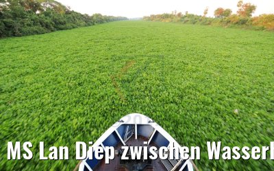 MS Lan Diep zwischen Wasserhyazinthen auf Tonle Sap river 12.04.2017