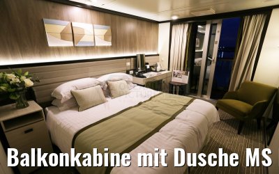 Balkonkabine mit Dusche MS Britannia