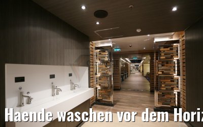 Haende waschen vor dem Horizon Restaurant MS Britannia