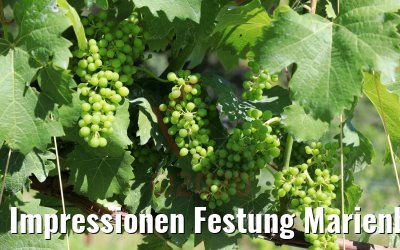 Impressionen Festung Marienberg Würzburg 04.07.2020