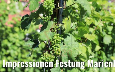 Impressionen Festung Marienberg Würzburg 04.07.2020